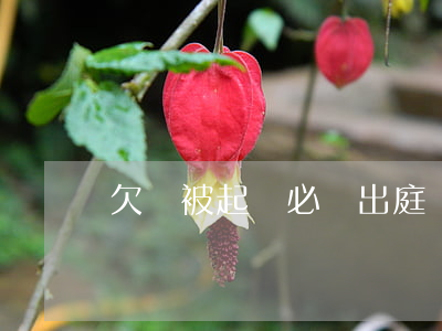 欠錢被起訴必須出庭嗎(欠錢被起訴必須出庭嗎)