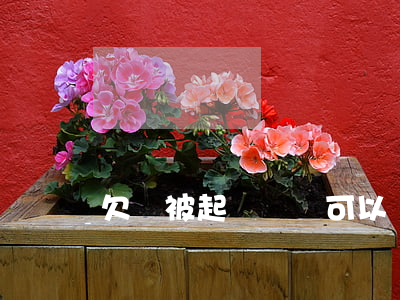 欠錢被起訴應訴可以嗎(欠錢被起訴有可能會勝訴嗎)