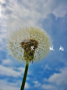 欠錢被起訴成功（欠錢被起訴成功）