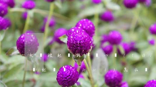 欠錢被起訴找律師心態(tài)(欠錢被律師起訴會(huì)怎么樣)