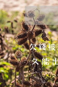 欠錢被起訴抓捕(因欠錢被起訴抓到派出所多久能出來)