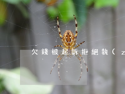 欠錢被起訴拒絕執(zhí)行
