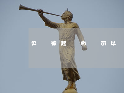 欠錢被起訴撤訴可以嗎(欠錢起訴了可以撤銷嗎)