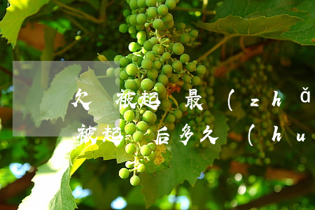 欠錢被起訴最長(zhǎng)多久還(欠錢被起訴后多久會(huì)被強(qiáng)制執(zhí)行)