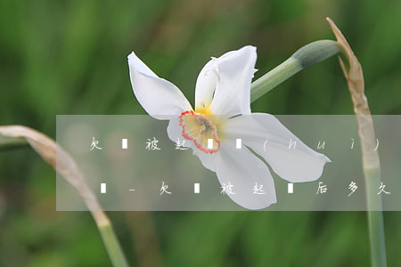 欠錢被起訴會(huì)法院基本上多久還錢-欠錢被起訴后多久還錢