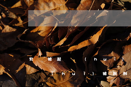 欠錢被起訴會(huì)被判刑嗎 欠錢被起訴會(huì)被判刑嗎知乎