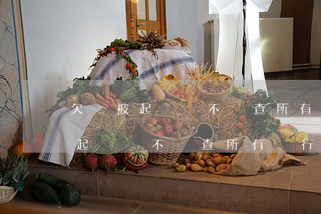 欠錢被起訴會不會查所有銀行流水-欠錢被起訴會不會查所有銀行流水記錄