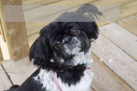 欠錢被起訴會坐牢么