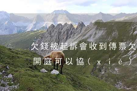 欠錢被起訴會收到傳票(欠錢被起訴收到傳票開庭可以協(xié)商嗎)