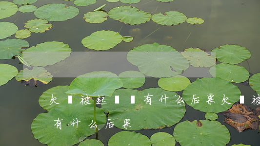 欠錢被起訴會有什么后果(欠錢被法院起訴會有什么后果)