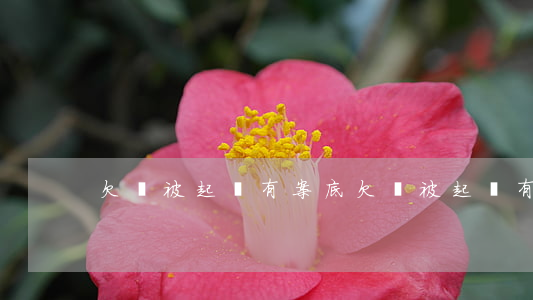 欠錢被起訴有案底(欠錢被起訴有案底怎么辦)