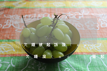 欠錢被起訴沒(méi)有能力償還怎么辦(欠錢沒(méi)還起訴過(guò)后人無(wú)力償還怎么辦)