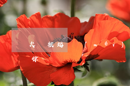 欠錢被起訴沒(méi)錢請(qǐng)律師