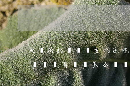 欠錢被起訴沒錢支付法院罰款(欠錢被起訴了確實沒有錢還怎么辦會被拘留嗎)