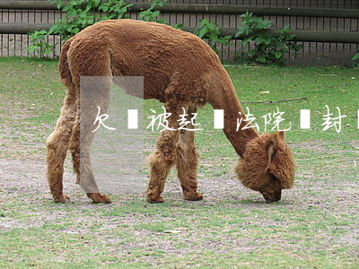 欠錢被起訴法院來封嗎(欠錢被法院起訴了)