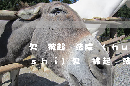 欠錢被起訴法院會(huì)去家里核實(shí)(欠錢被起訴法院會(huì)檢查賬單嗎)