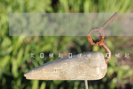 欠錢被起訴理由(欠錢被起訴怎么應(yīng)訴)