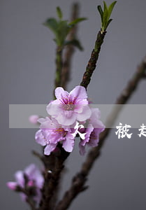 欠錢被起訴短信通知(收到欠錢被起訴的短信)