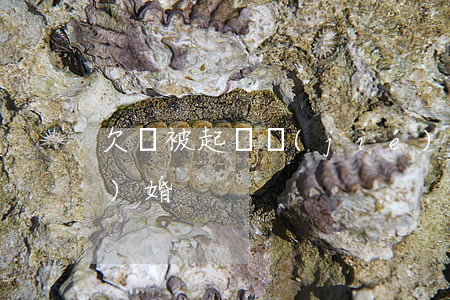 欠錢被起訴結(jié)婚(欠債結(jié)婚)
