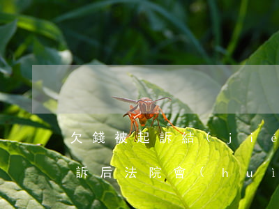 欠錢被起訴結(jié)果怎么樣(欠錢被起訴后法院會(huì)判多久還錢)