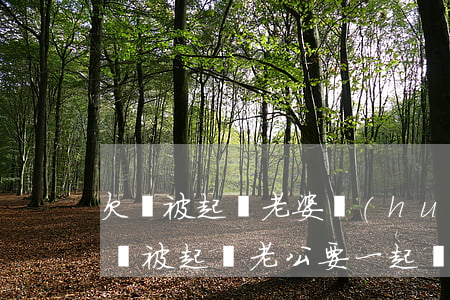 欠錢被起訴老婆會(huì)累嗎-老婆欠錢被起訴,老公要一起還嗎