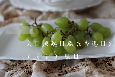 欠錢被起訴能去香港嗎(欠錢被起訴能辦理護(hù)照嗎)