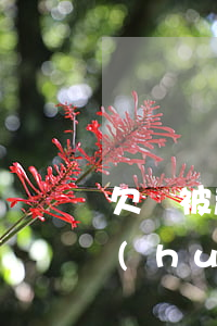 欠錢被起訴能否要回錢(欠錢被起訴有可能會(huì)勝訴嗎)