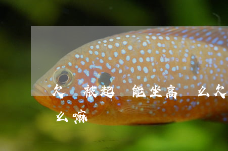 欠錢被起訴能坐高鐵么(欠錢被起訴能坐高鐵么嘛)