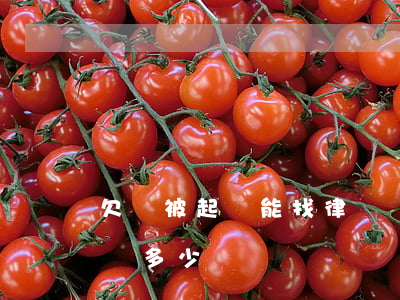 欠錢被起訴能找律師嗎(欠錢被起訴能找律師嗎多少錢)
