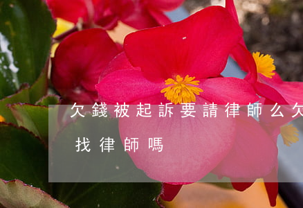 欠錢被起訴要請律師么(欠別人錢被起訴需要找律師嗎)
