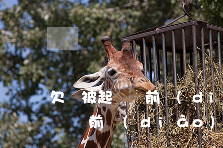欠錢被起訴訴前調(diào)解 欠錢被起訴訴前調(diào)解被告有好處嗎