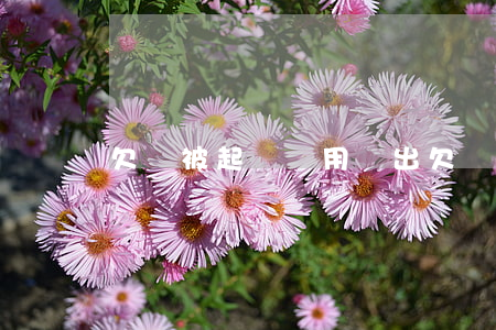 欠錢被起訴費用誰出（欠錢被起訴費用）
