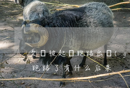 欠錢被起訴跑路出國(guó)(欠錢被起訴跑路了有什么后果)