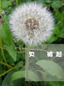 欠錢被起訴跑路(欠錢被起訴了人跑了怎么辦)
