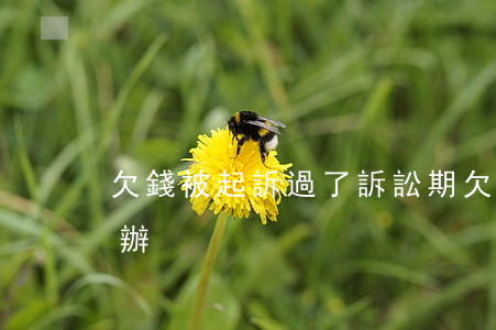 欠錢被起訴過了訴訟期 欠錢過了訴訟期怎么辦