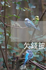 欠錢被起訴遺廠 欠錢被起訴對子女有啥影響