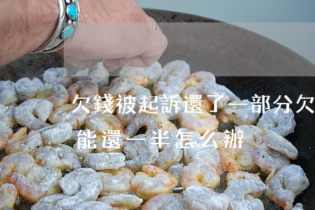 欠錢被起訴還了一部分(欠錢被起訴了,但是只能還一半怎么辦)