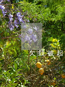欠錢被起訴還了 欠別人錢被起訴了怎么辦