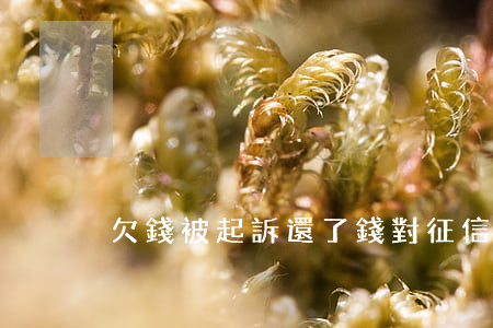 欠錢被起訴還了錢對征信有影響嗎