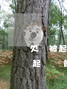 欠錢被起訴還能不能去派出所工作-欠錢被起訴還能不能去派出所工作了