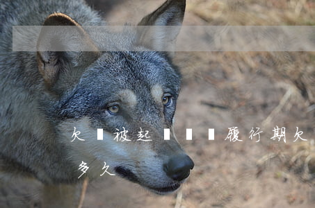 欠錢被起訴還錢履行期(欠錢被起訴履行期是多久)