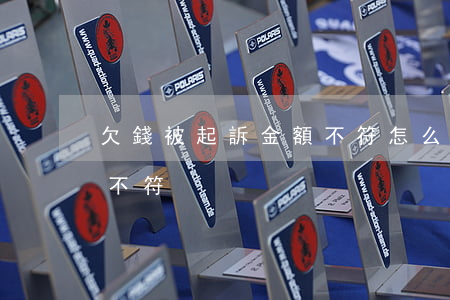 欠錢被起訴金額不符怎么辦（欠錢被起訴金額不符）