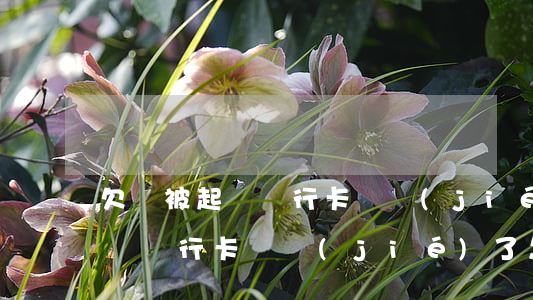 欠錢被起訴銀行卡凍結(jié)(欠錢被起訴銀行卡凍結(jié)了怎么辦)