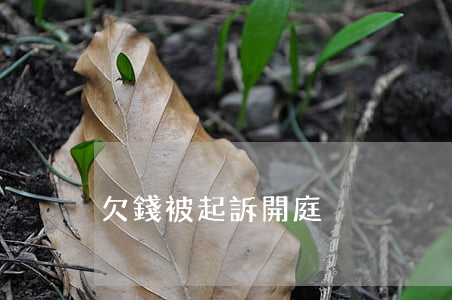 欠錢被起訴開庭