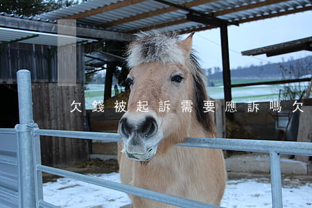 欠錢被起訴需要應訴嗎 欠錢被起訴要坐牢嗎