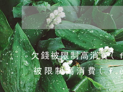 欠錢被限制高消費(fèi)沒錢還怎么辦(被限制高消費(fèi)還不還錢最終會怎么樣)