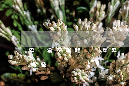 欠錢要不得起訴條件 欠錢要不得起訴條件有哪些