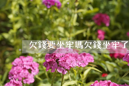 欠錢要坐牢嗎(欠錢坐牢了錢還需要還嗎)