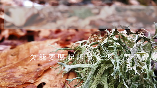 欠錢要賬起訴費多少-要賬起訴費用