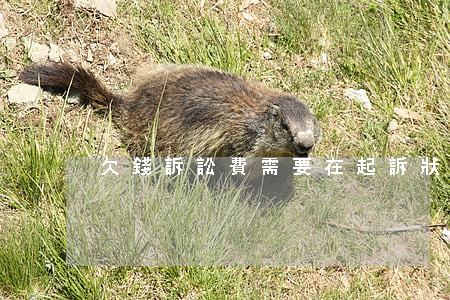 欠錢訴訟費需要在起訴狀里寫下嗎